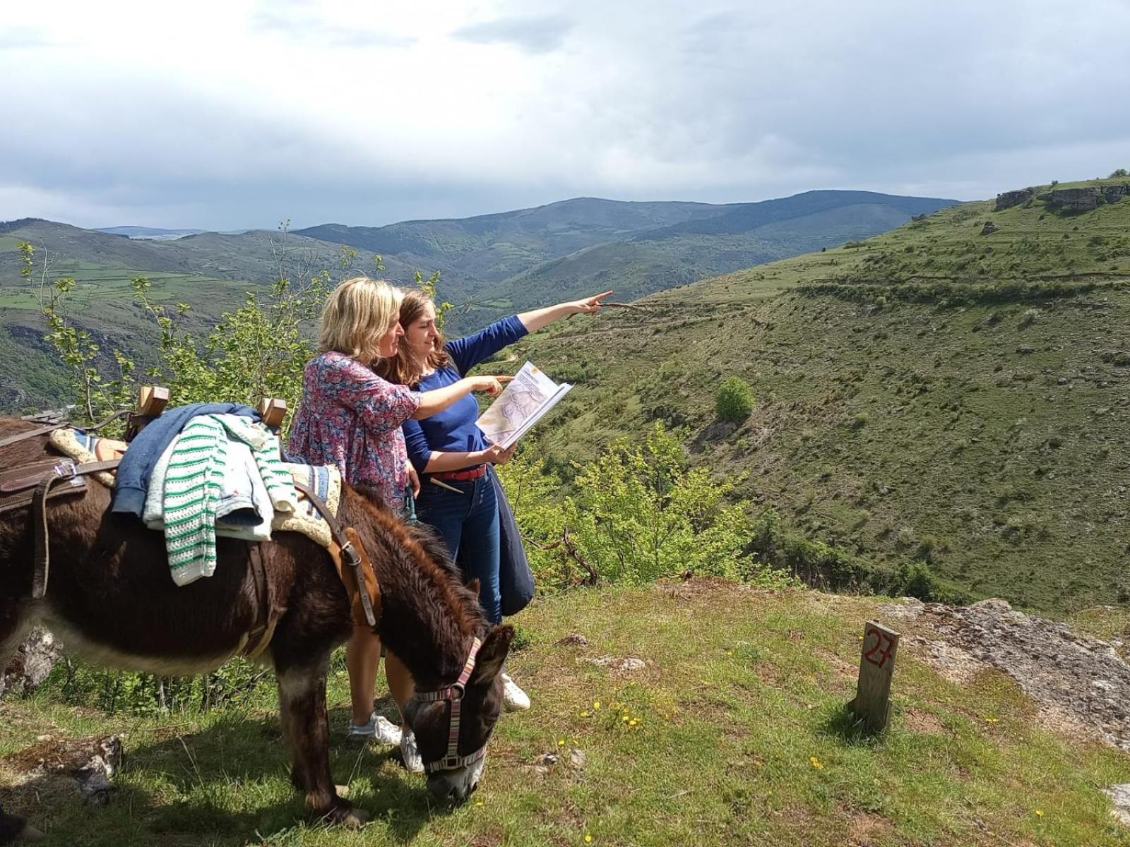 מלון Florac La Ferme Des Cevennes מראה חיצוני תמונה