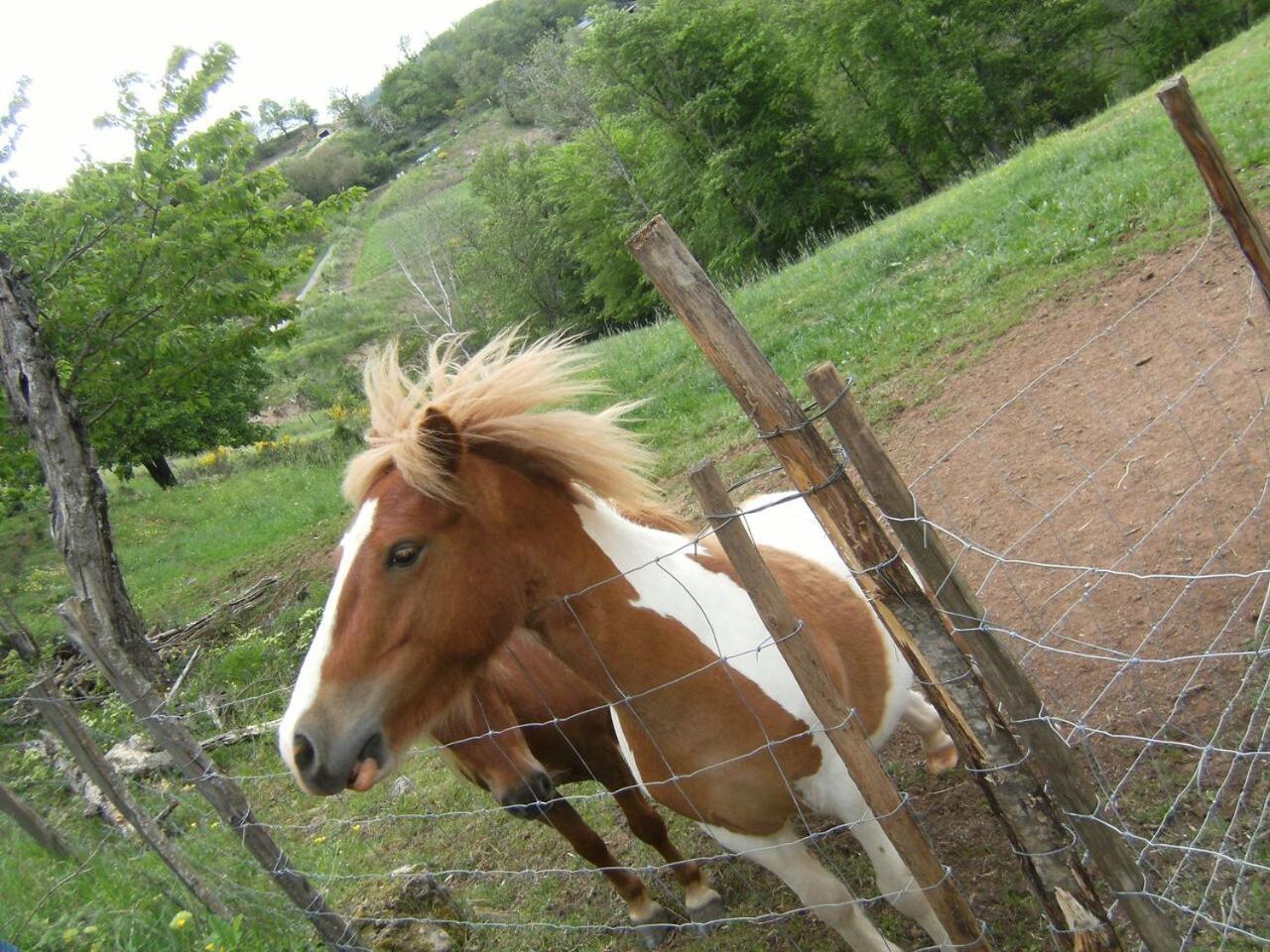 מלון Florac La Ferme Des Cevennes מראה חיצוני תמונה