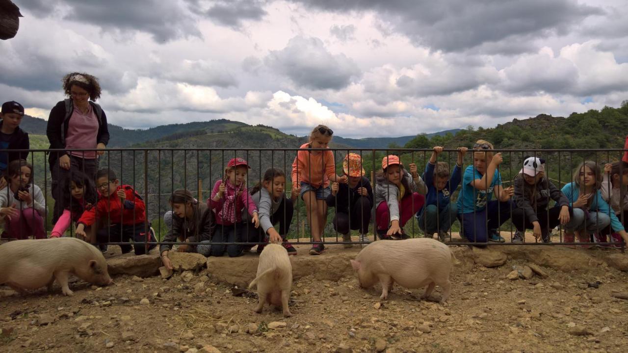 מלון Florac La Ferme Des Cevennes מראה חיצוני תמונה